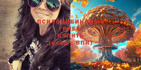 сатива Абаза
