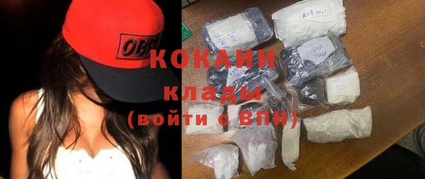 индика Алексеевка
